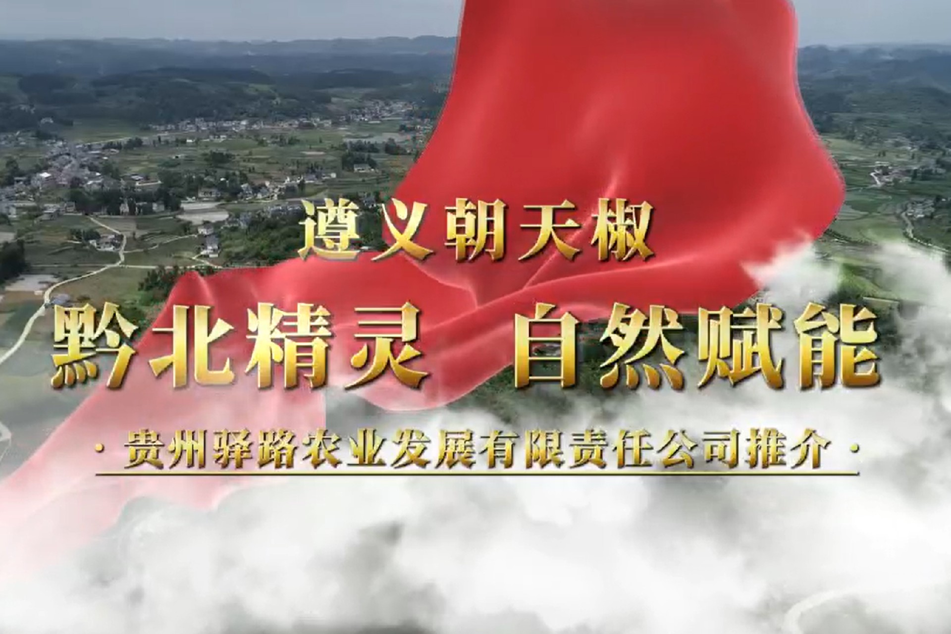 遵义朝天椒“黔北精灵自然赋能”封面.jpg